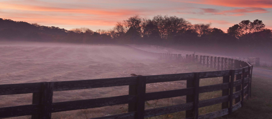 Sunrise at Double H Farms